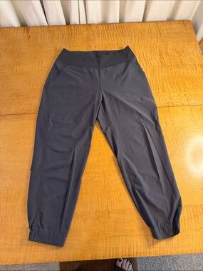 Patagonia happy hike pants